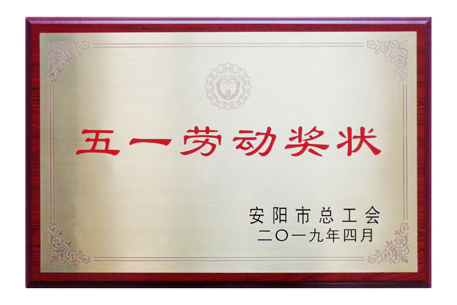 2019安陽市總工會“五一勞動獎章”